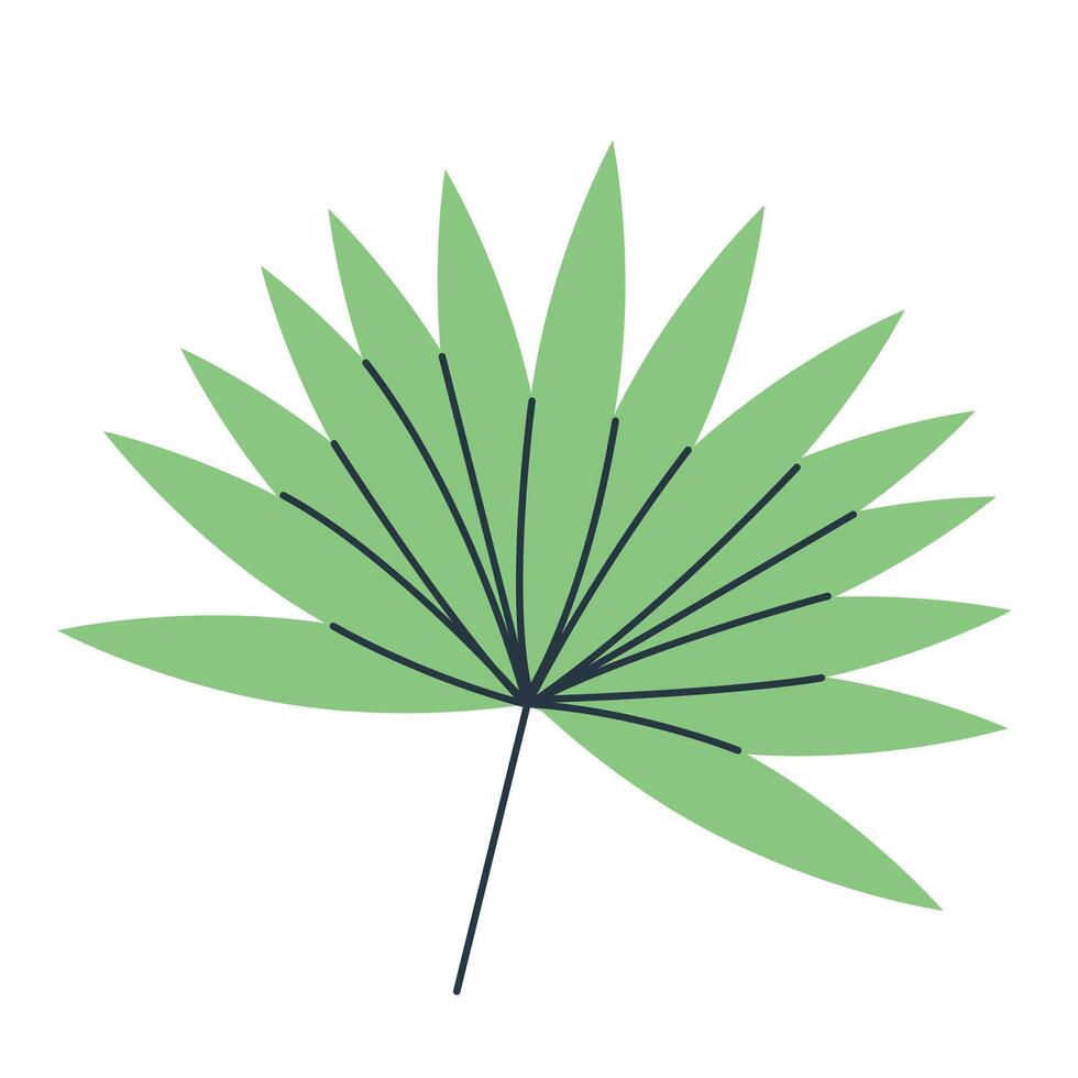 Tropical leaf in flat style isolated on white background. Summer clipart. vector