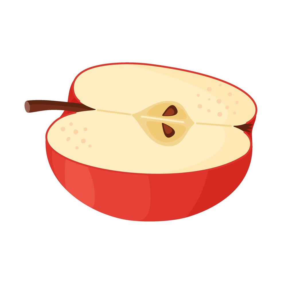 Red ripe half apple, fresh garden fruit. Hand drawn food clipart. Half, slice of fresh red apple fruit, Flat style isolated illustration vector