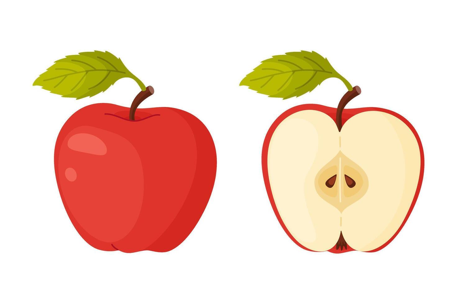 Red ripe apple. Whole and half fruit of fresh Red apple garden fruit. Hand drawn food clipart. Cartoon apple fruit Flat style isolated, transparent background Red Delicious illustration vector