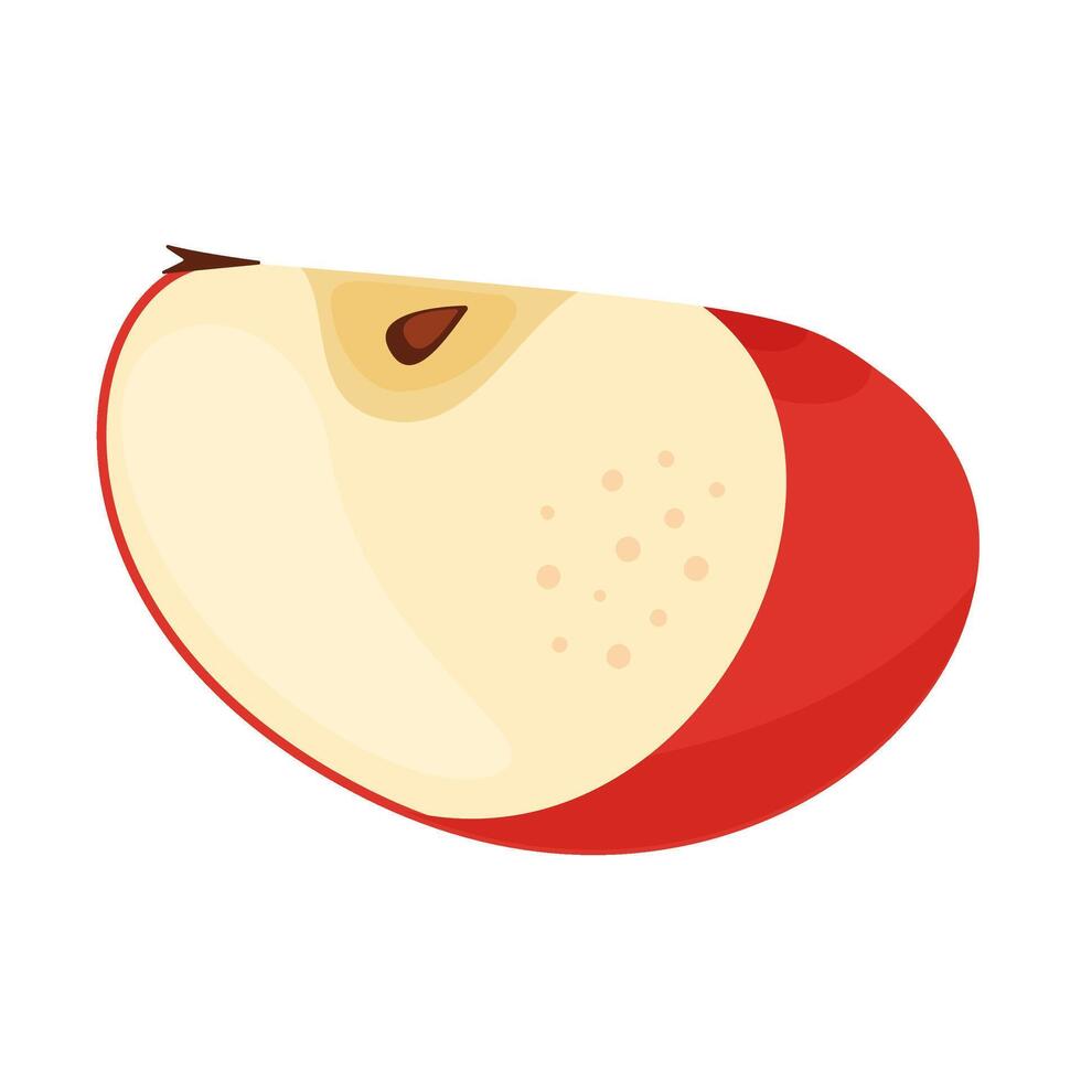 Red apple segment or slice, fresh garden fruit. Hand drawn food clipart. slice of fresh Red apple fruit, Flat style isolated on transparent background. Red Delicious illustration vector