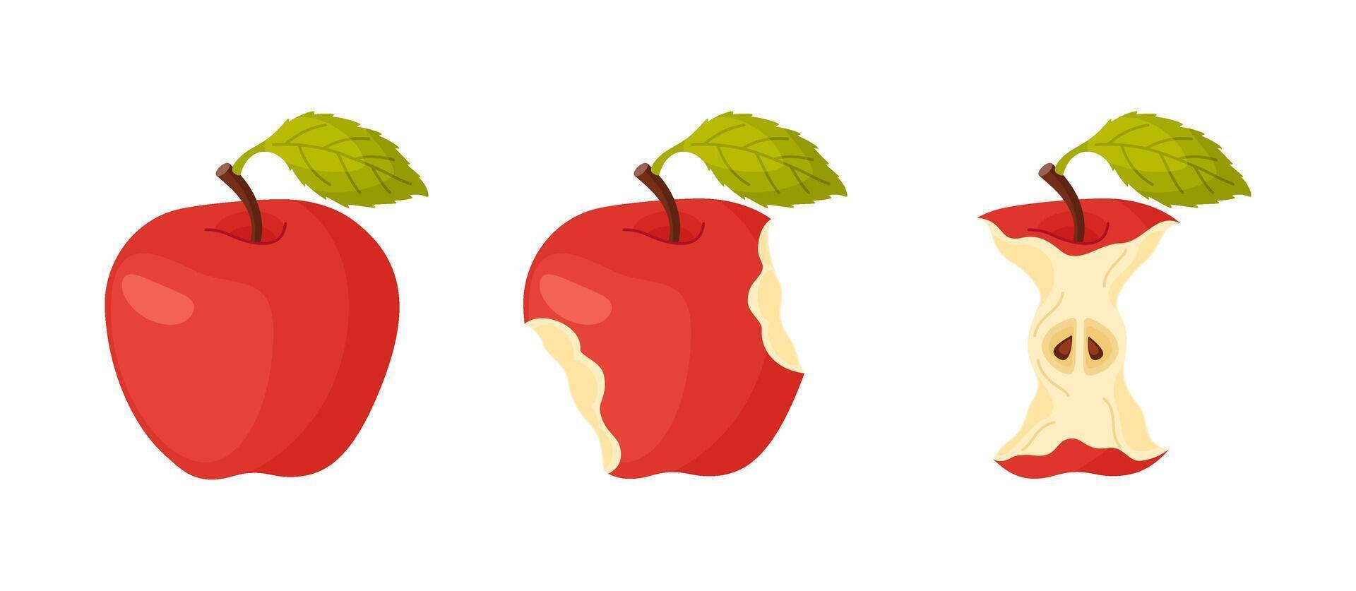 Red juicy apple eating steps icon set. Stages of biting ripe apple from whole to half and core, bite progression. Hand drawn flat style isolated. Bitten apple fresh garden fruit illustration vector