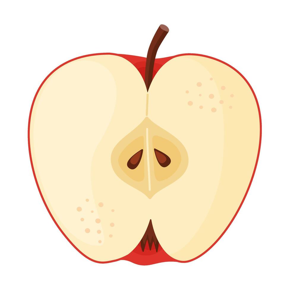 Red ripe half apple, fresh garden fruit. Hand drawn food clipart. Half, slice of fresh red apple fruit, Flat style isolated vector