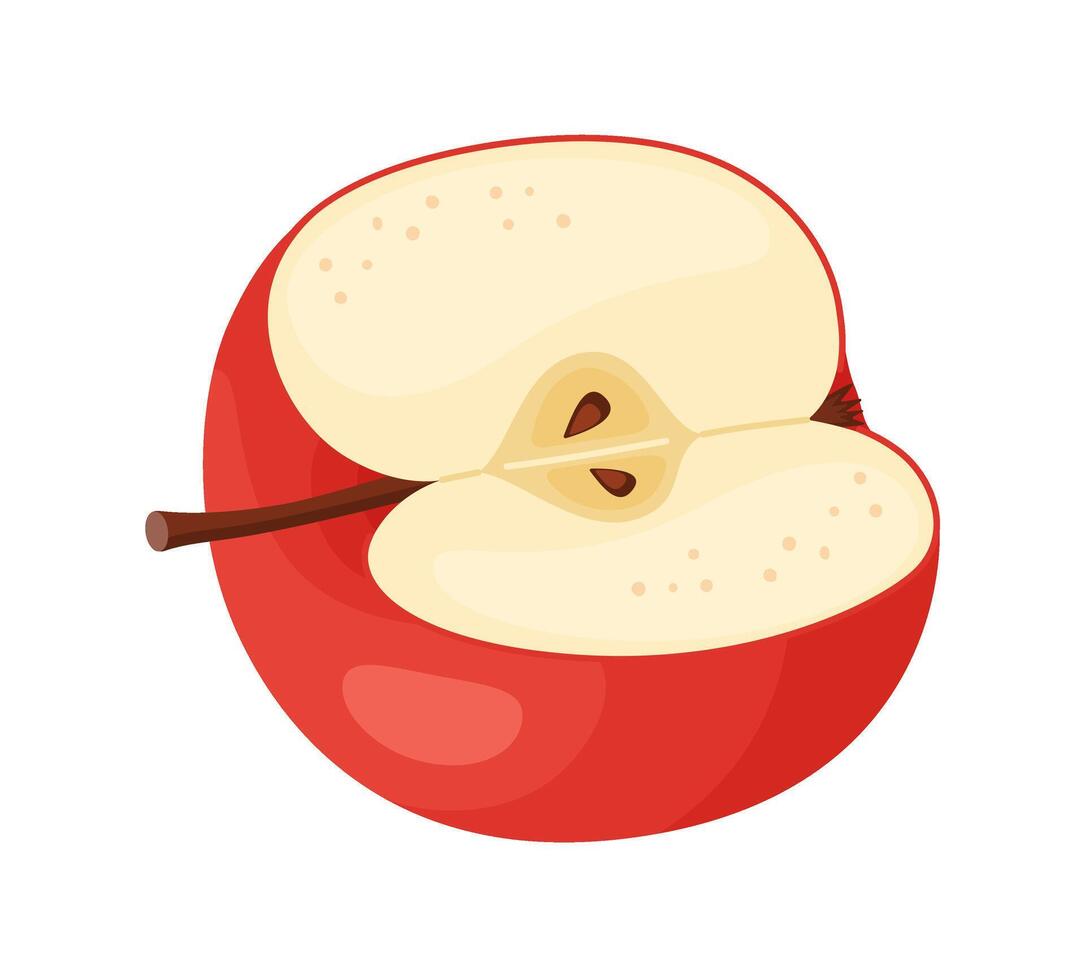 Red ripe half apple, fresh garden fruit. Hand drawn food clipart. Half of fresh red apple fruit, Flat style isolated on transparent background vector