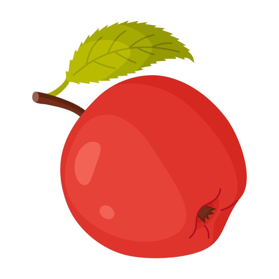 Red ripe apple with leaf, fresh garden fruit. Hand drawn food clipart. Whole fruit with green leaf, Flat style isolated illustration vector