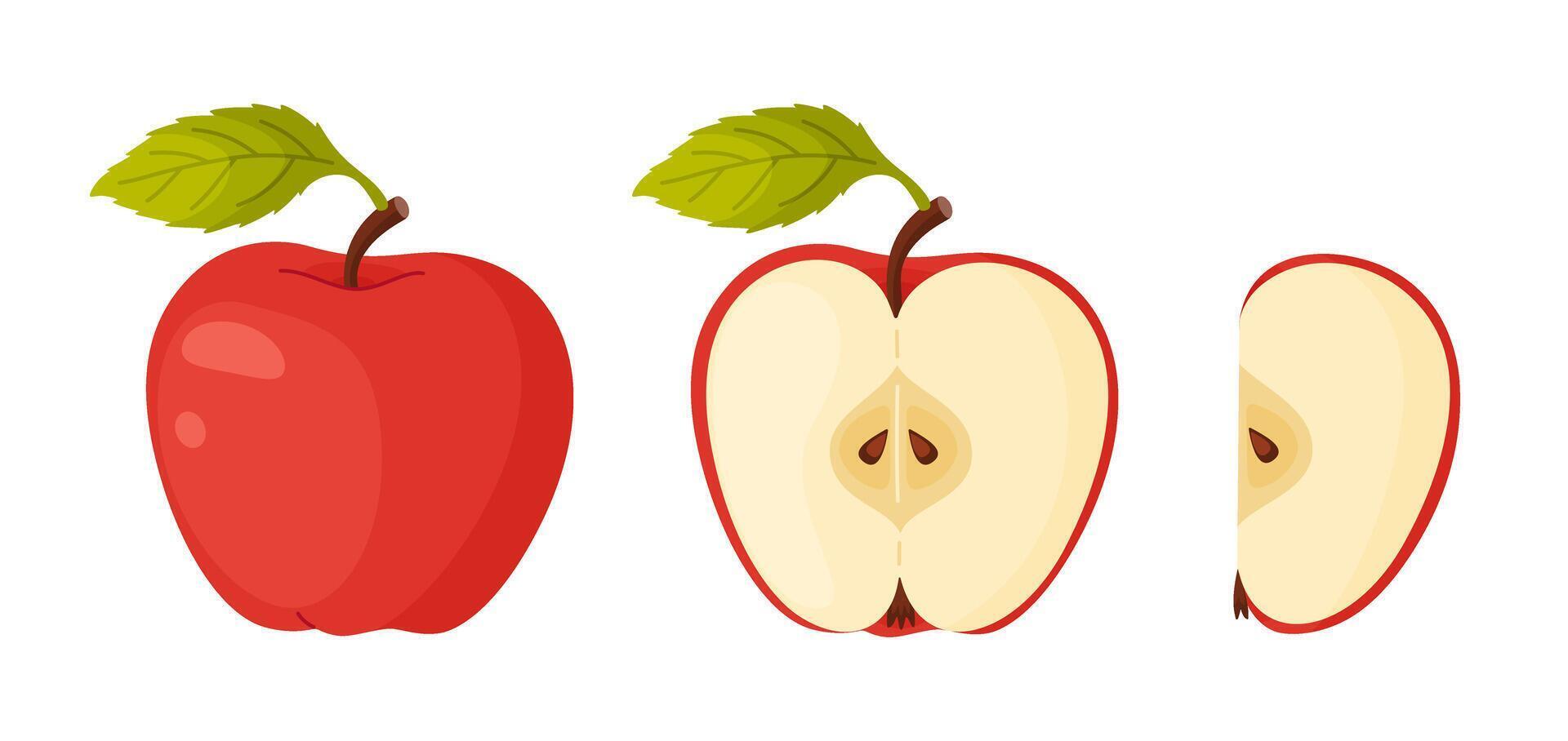 Red apple. Whole, half, slice of fresh Red apple garden fruit. Hand drawn food clipart. Cartoon apple fruit Flat style isolated, transparent background Red Delicious icons vector