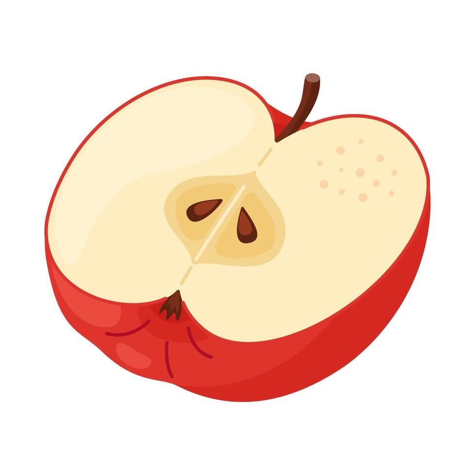 Red ripe half apple, fresh garden fruit. Hand drawn red food clipart. Half of fresh red apple fruit, Flat style isolated on transparent background illustration vector