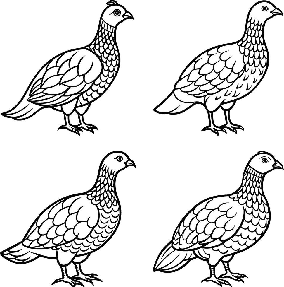 Bird outline drawing coloring set vector
