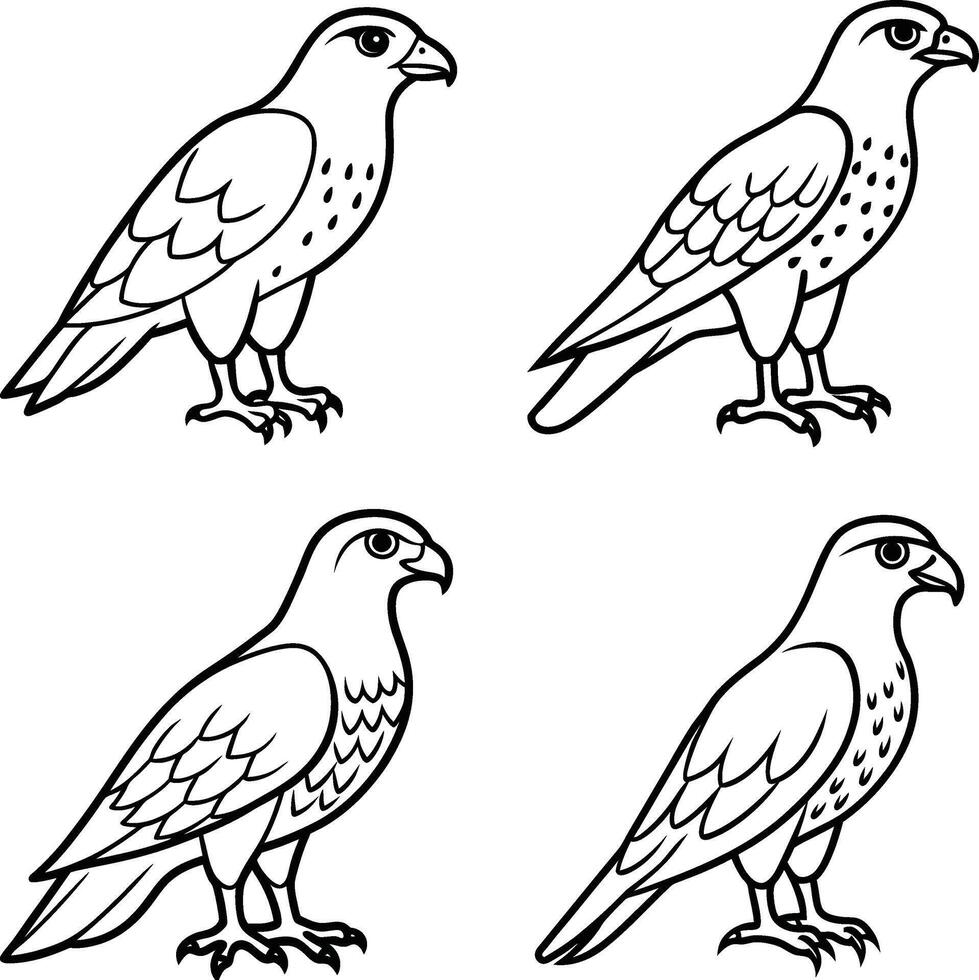 Variety of bird sketch drawing sheets vector