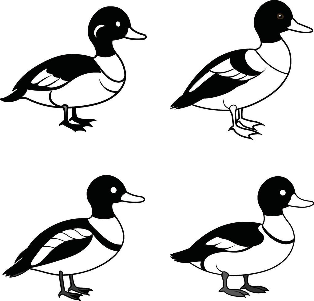 Bird Line Art Set Outline Illustration Collection of Various Birds vector
