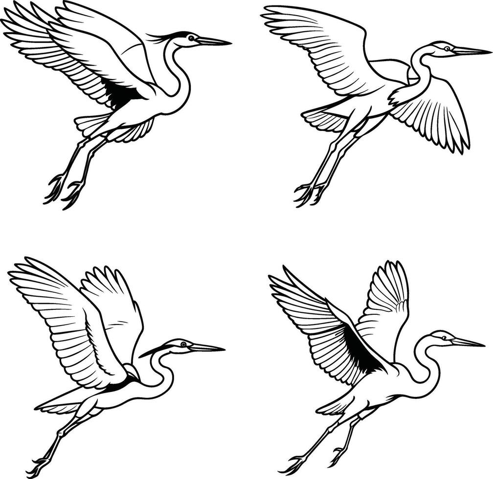 Set of bird drawing outline templates vector
