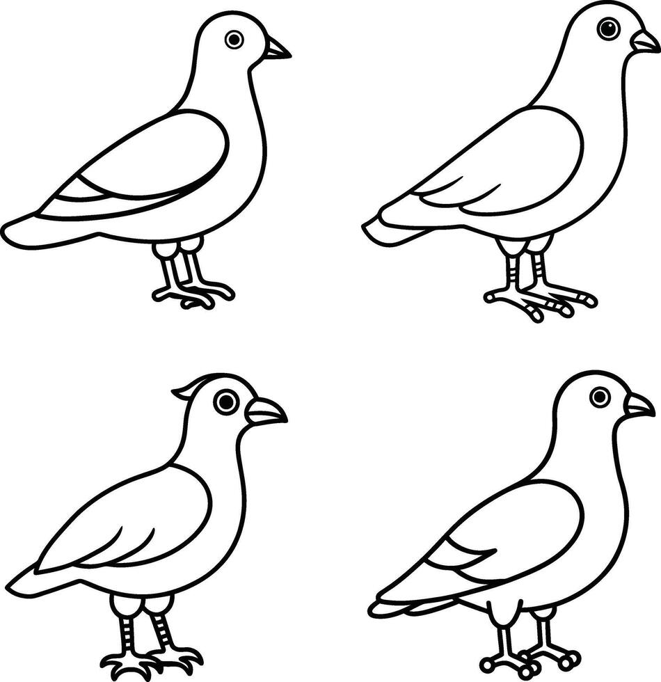 Bird Illustration Drawing Outline Line Art Collection of Birds vector