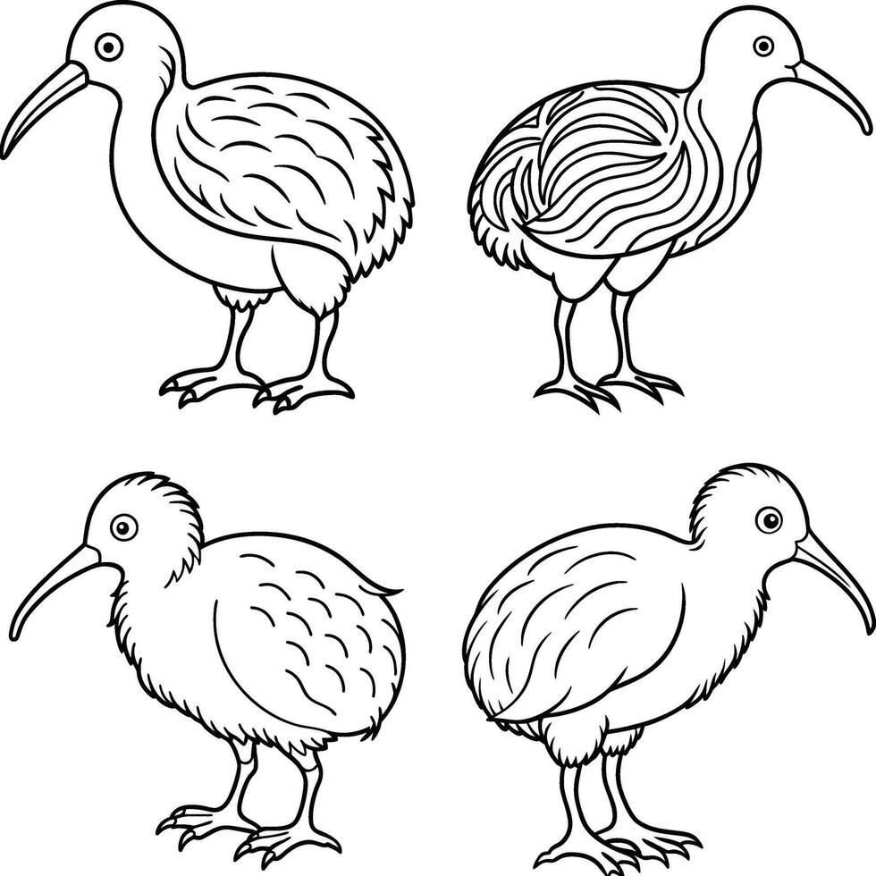 Collection of bird outline templates vector