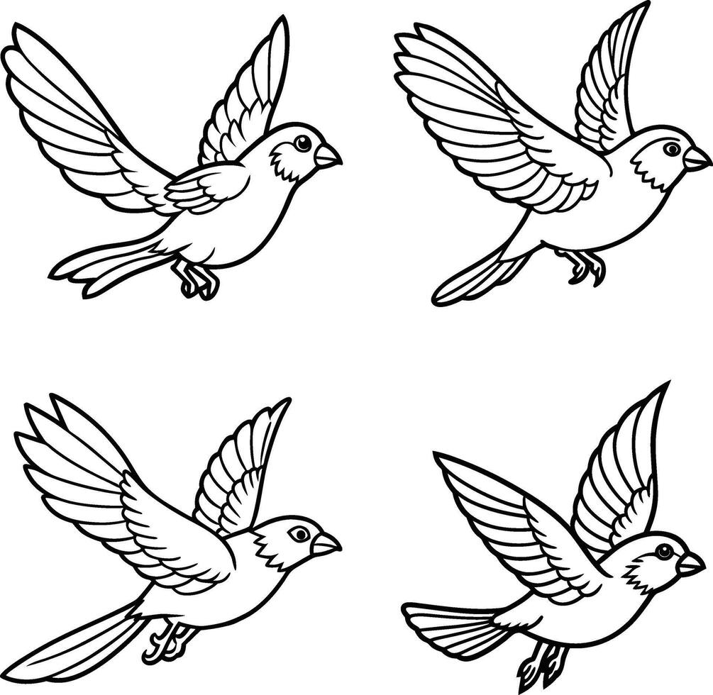Selection of bird outline coloring pages vector