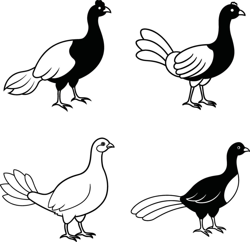 Bird Line Drawing Outline Collection Art Set of Birds vector