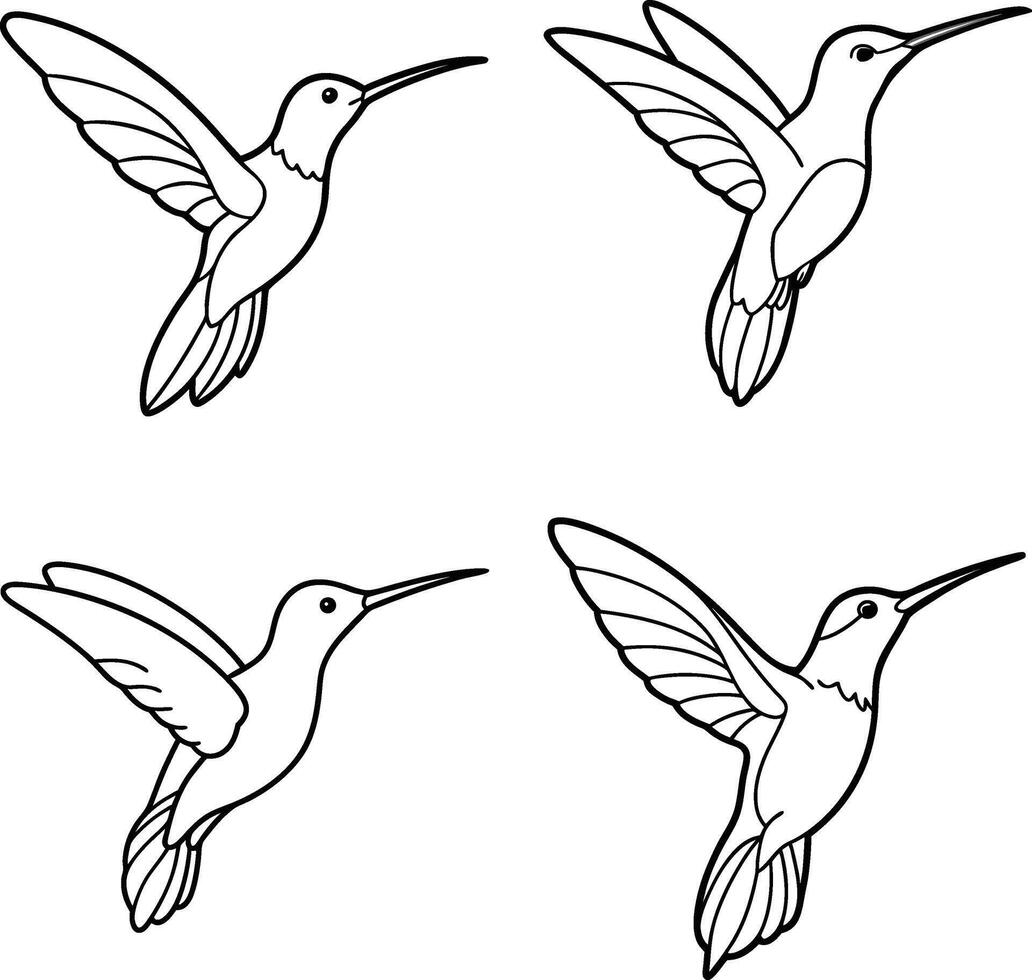 Bird Sketch Line Art Collection Outline Drawing Set of Birds vector