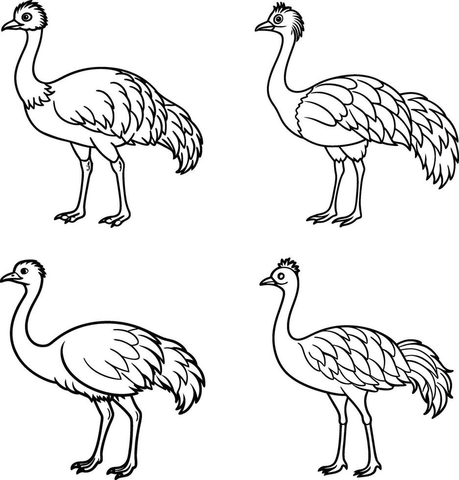 Pack of bird line art pages vector