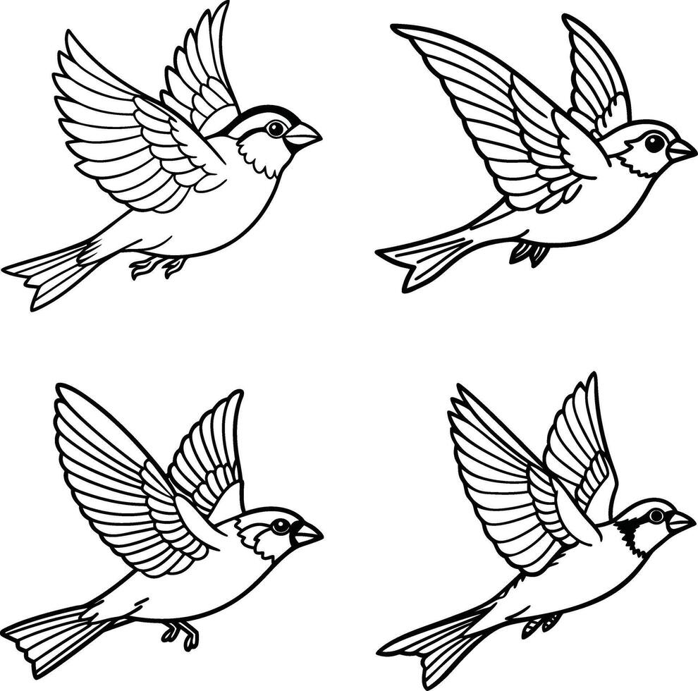 Set of bird line drawing templates vector