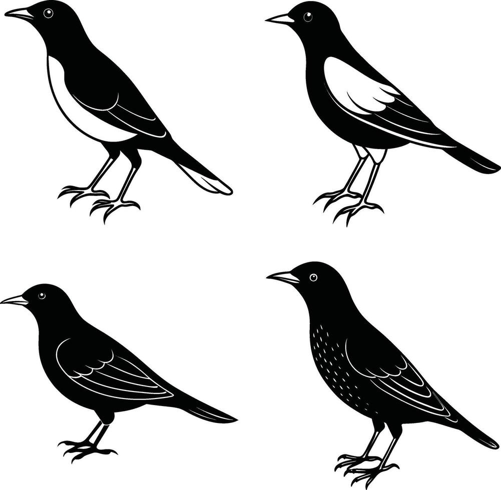 Bird Drawing Sketch Outline Art Line Collection of Birds vector