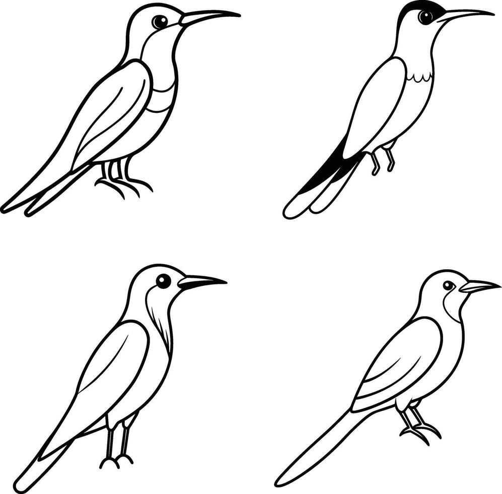 Bird Line Sketch Collection Outline Drawing Set of Various Birds vector