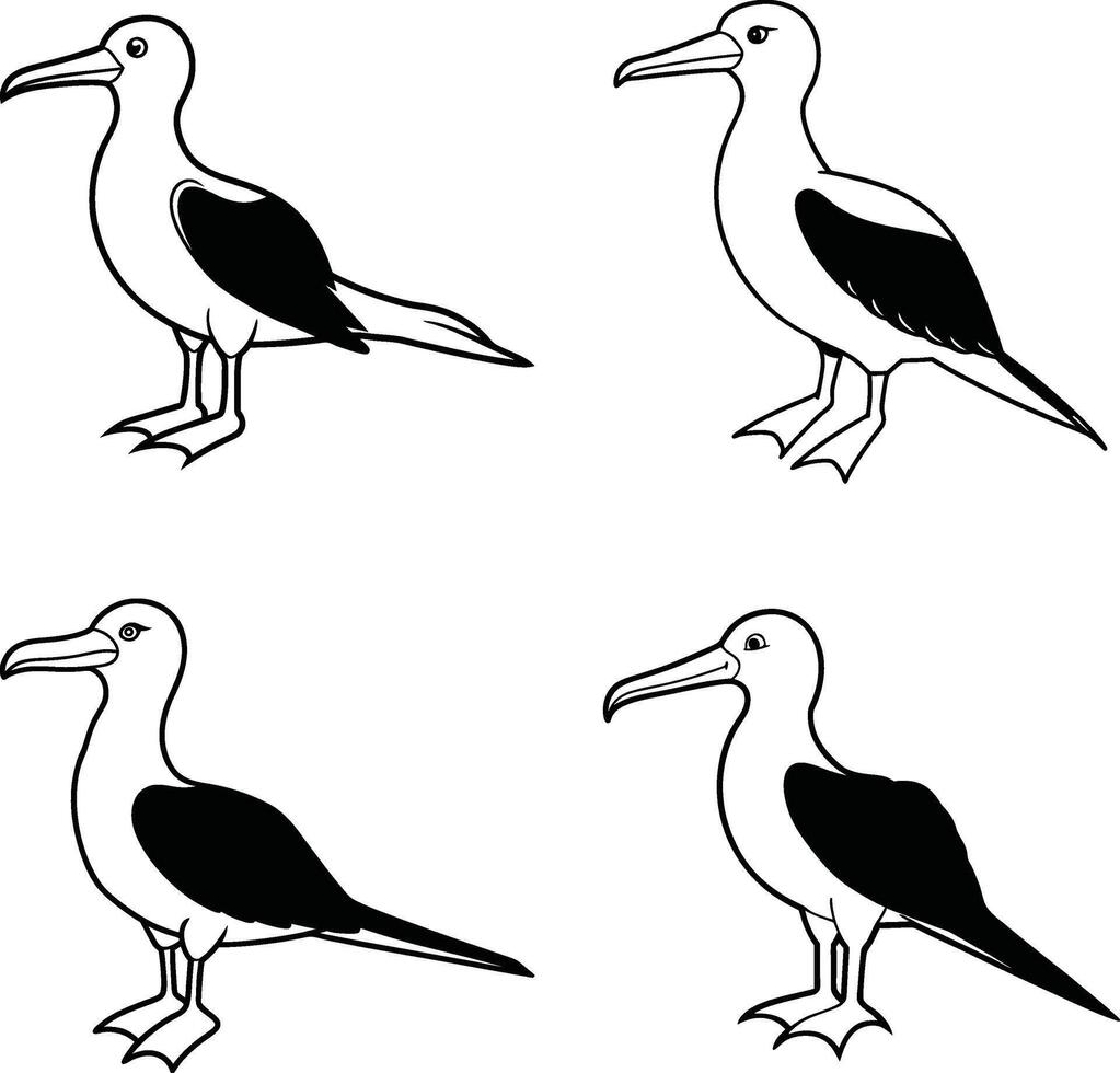 Bird Line Art Sketch Outline Drawing Collection of Birds vector