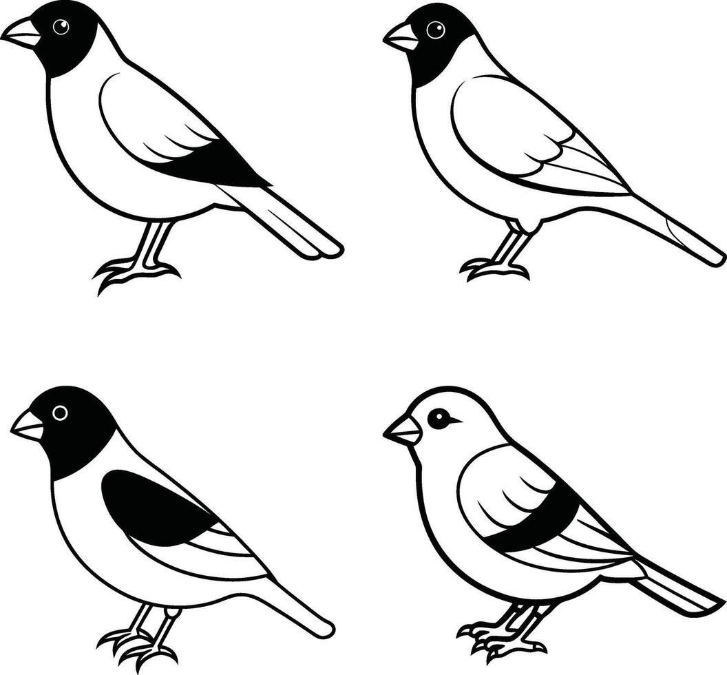 Bird Line Sketch Art Outline Drawing Collection of Birds vector