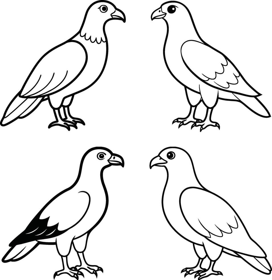 Bird Art Line Drawing Outline Collection Set of Birds vector