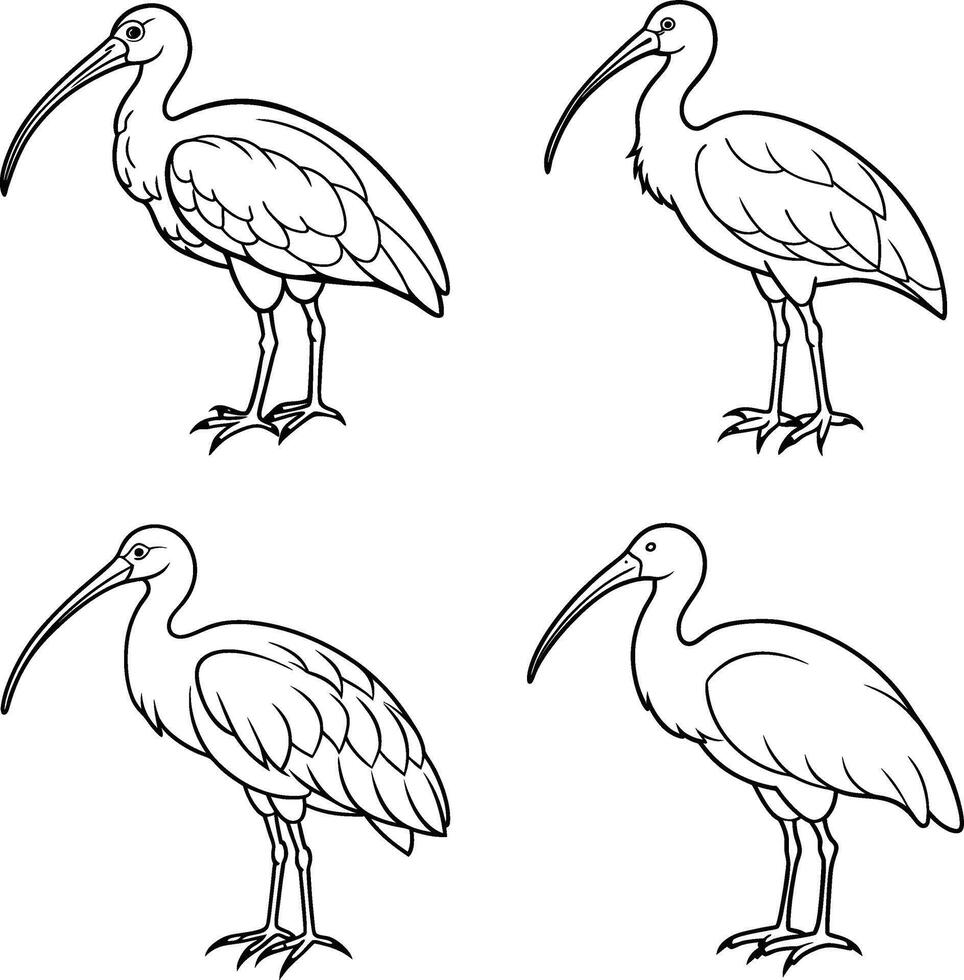 Compilation of bird line sketch pages vector