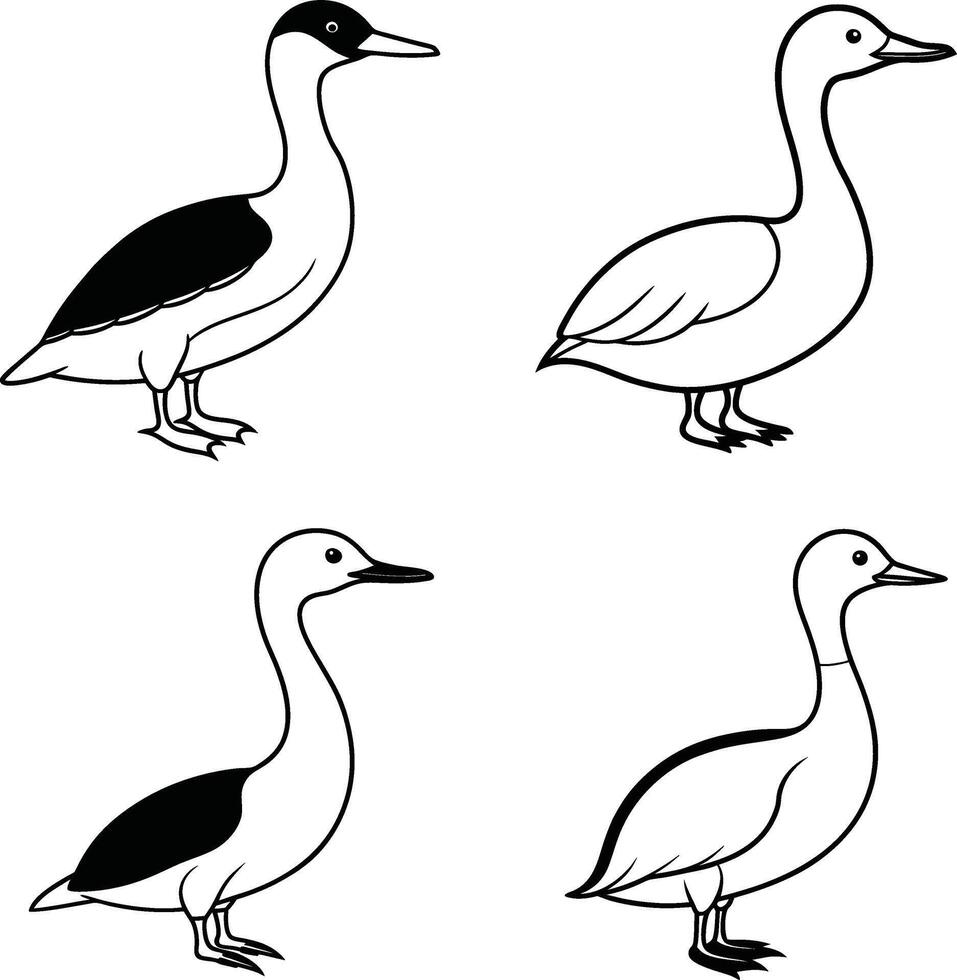 Bird Illustration Outline Set Line Art Collection of Various Birds vector