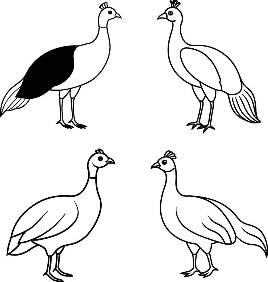 Bird Line Art Drawing Outline Collection of Various Birds vector