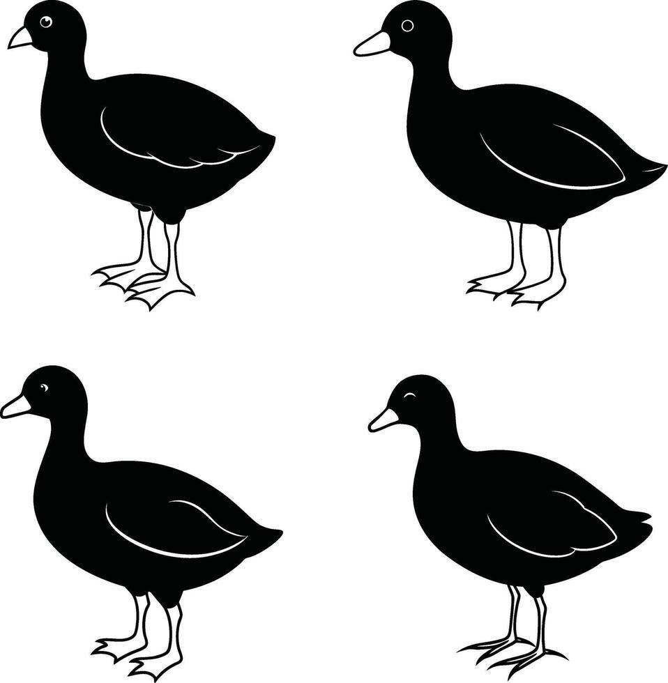 Bird Art Outline Drawing Sketch Line Collection of Birds vector