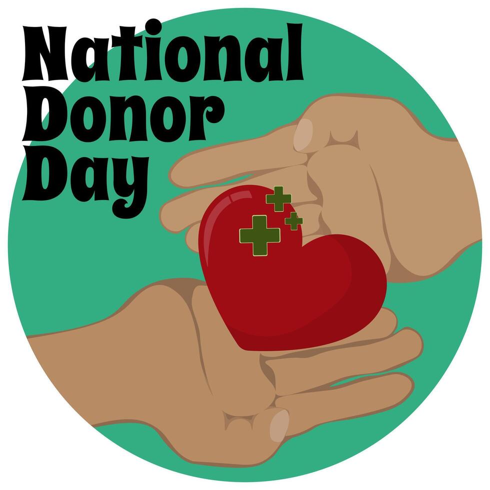 National Donor Day, simple horizontal banner or poster on a medical theme vector