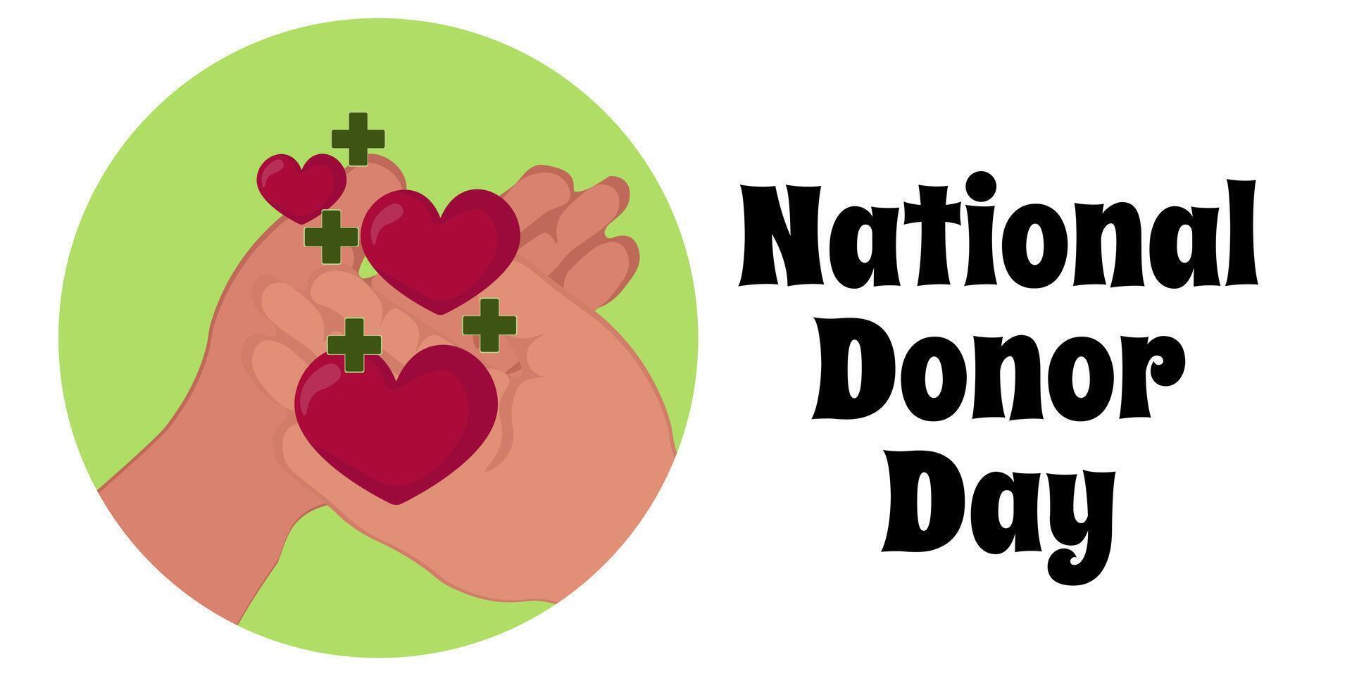National Donor Day, simple horizontal banner or poster on the topic of health vector