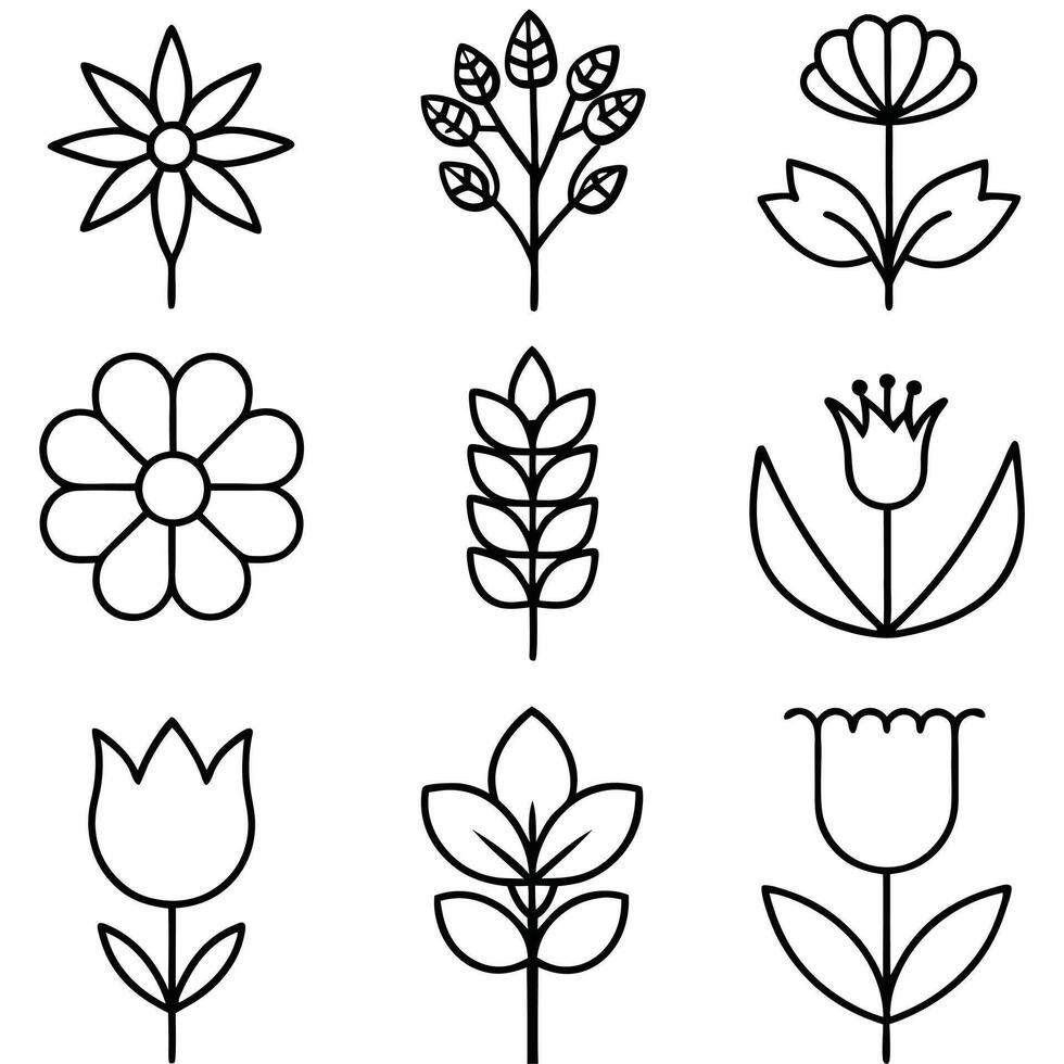 Simple Minimalist Floral Line Drawings for Design. vector