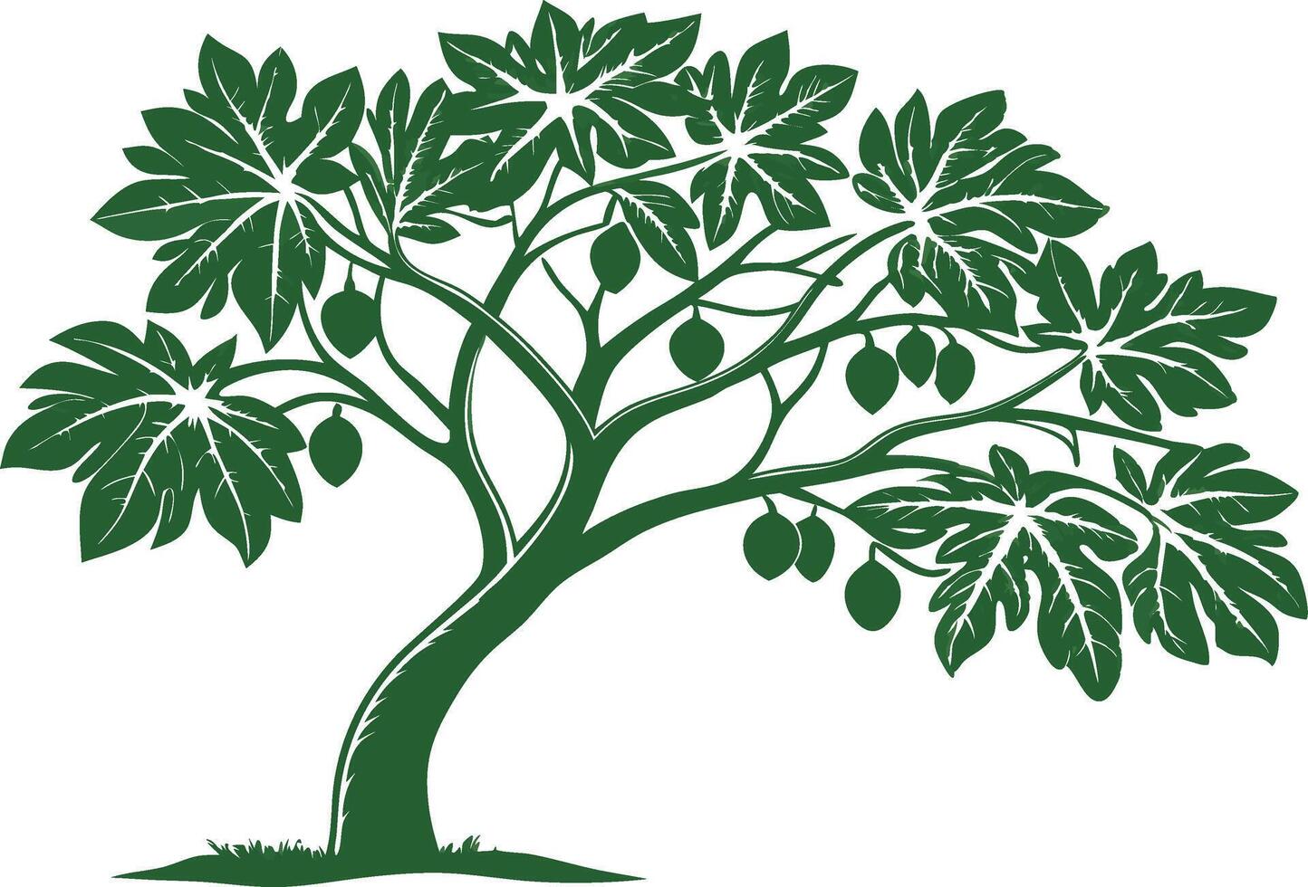 Vibrant Papaya Tree Illustration with Lush Foliage and Fruit vector