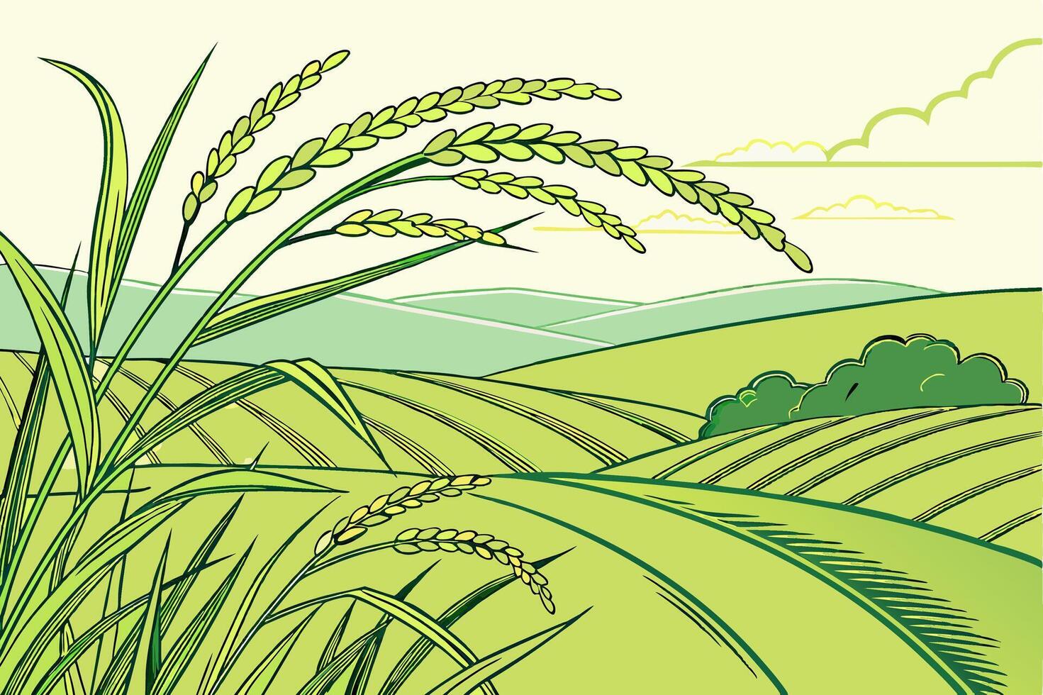 Vibrant Green Rice Fields Illustration for Agricultural Projects vector