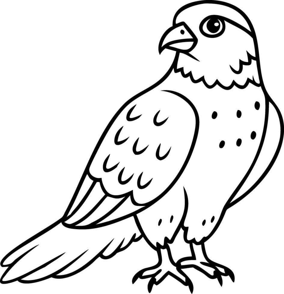 Detailed Falcon Illustration for Coloring Books and Tattoo Designs vector