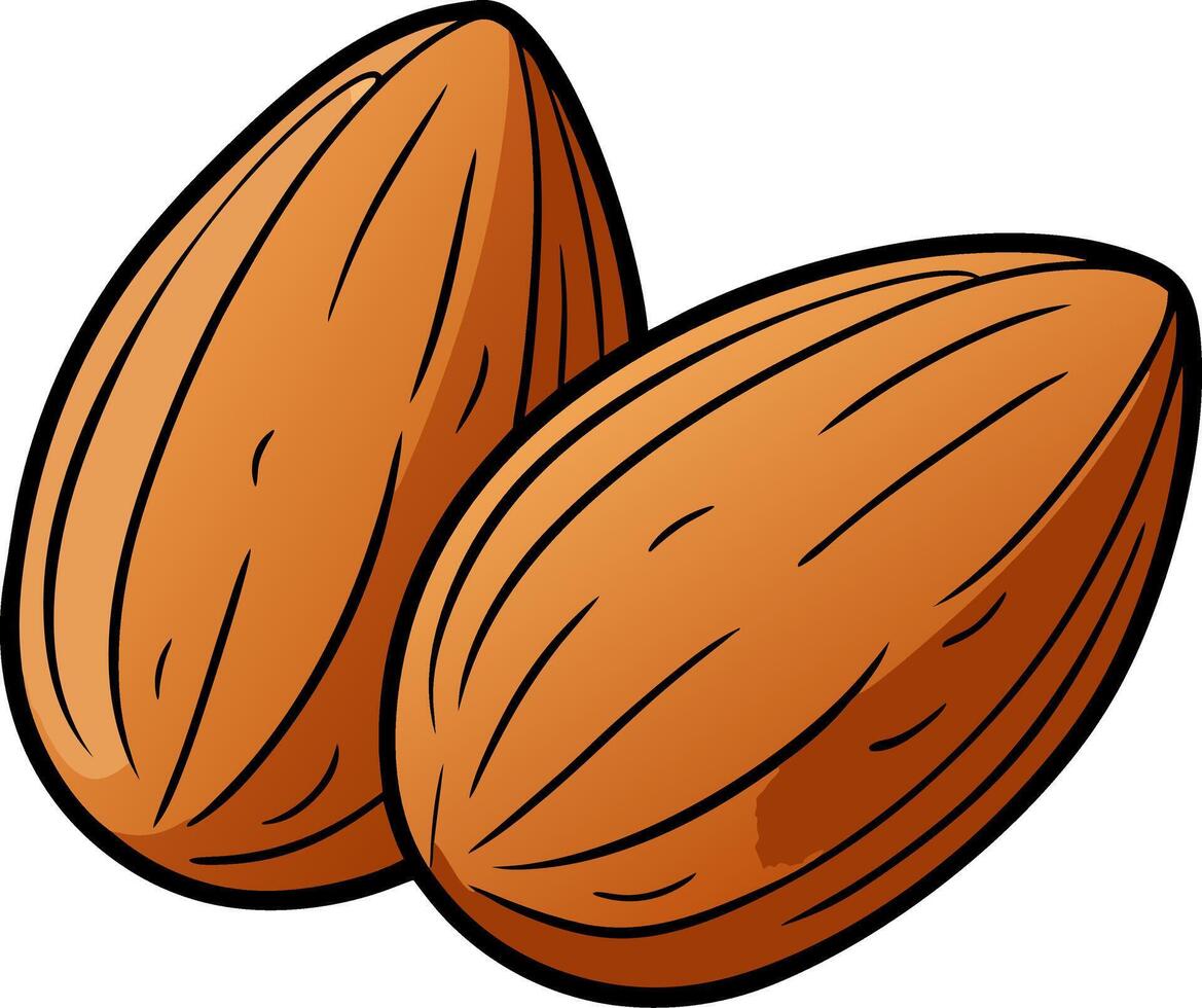 Realistic Almond Illustration Design for Nutrition and Snack Applications vector