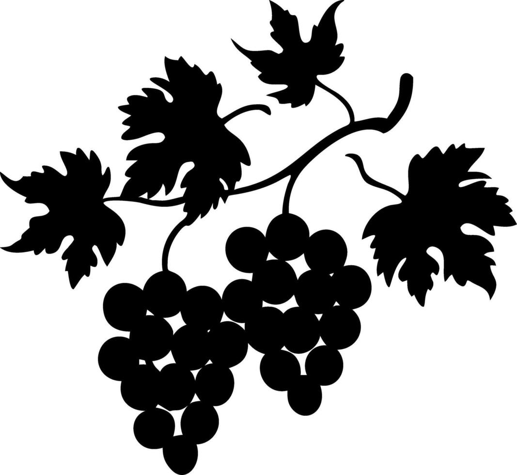 Black Silhouette Grape Vine Leaves for Art Designs vector