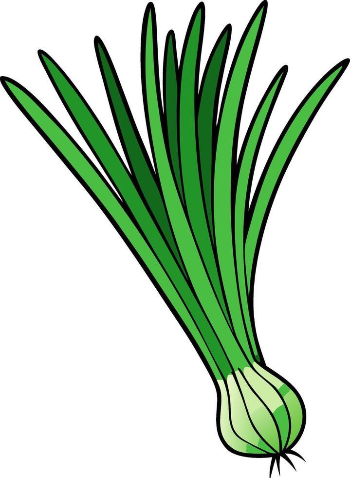Green Onion Illustration Herb Design for Culinary Projects vector
