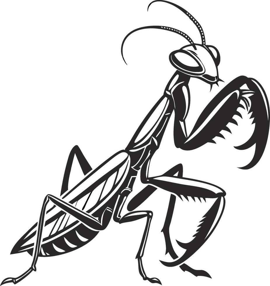 Praying Mantis Art Detailed Insect Illustration for Tattoo and Design Use vector