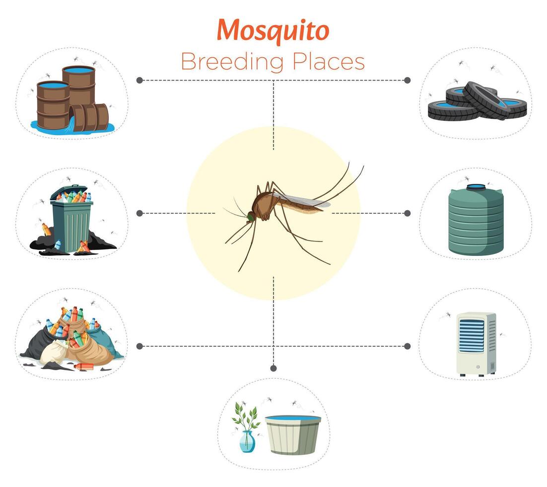 Illustration of Mosquito Breeding Places Stagnant Water in Various Locations vector