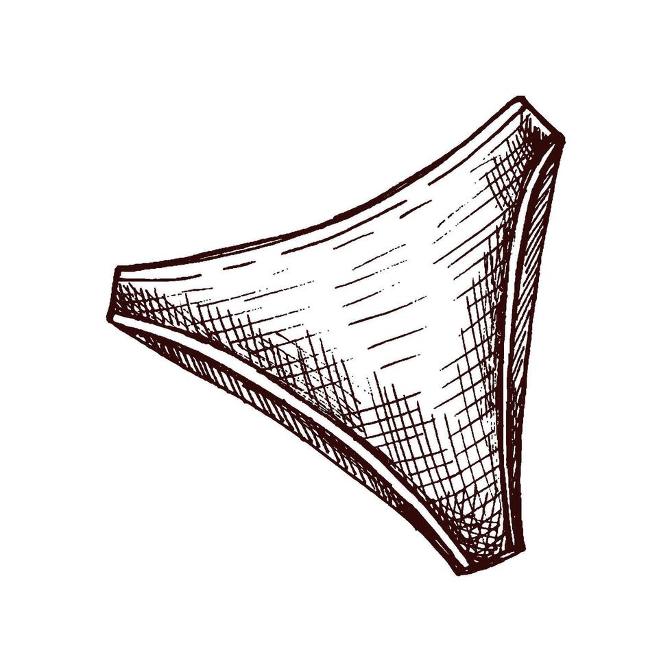 Hand drawn sketch of high-cut bikini bottom in monochrome vintage style vector