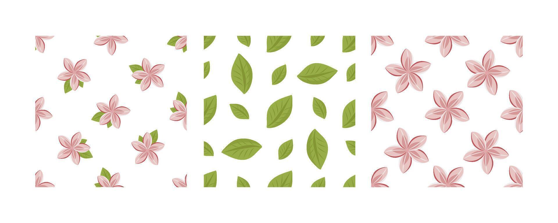 Set of seamless patterns with lotus flowers and green leaves in flat style on white background vector
