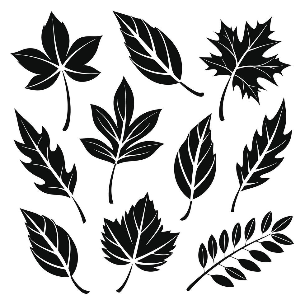 Leaf Silhouettes Collection Diverse Botanical Shapes vector