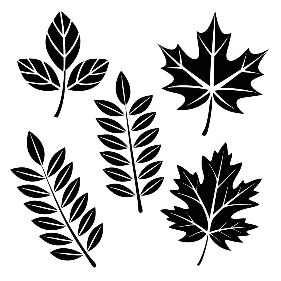 Elegant Leaf Silhouettes Nature-Inspired Graphics vector