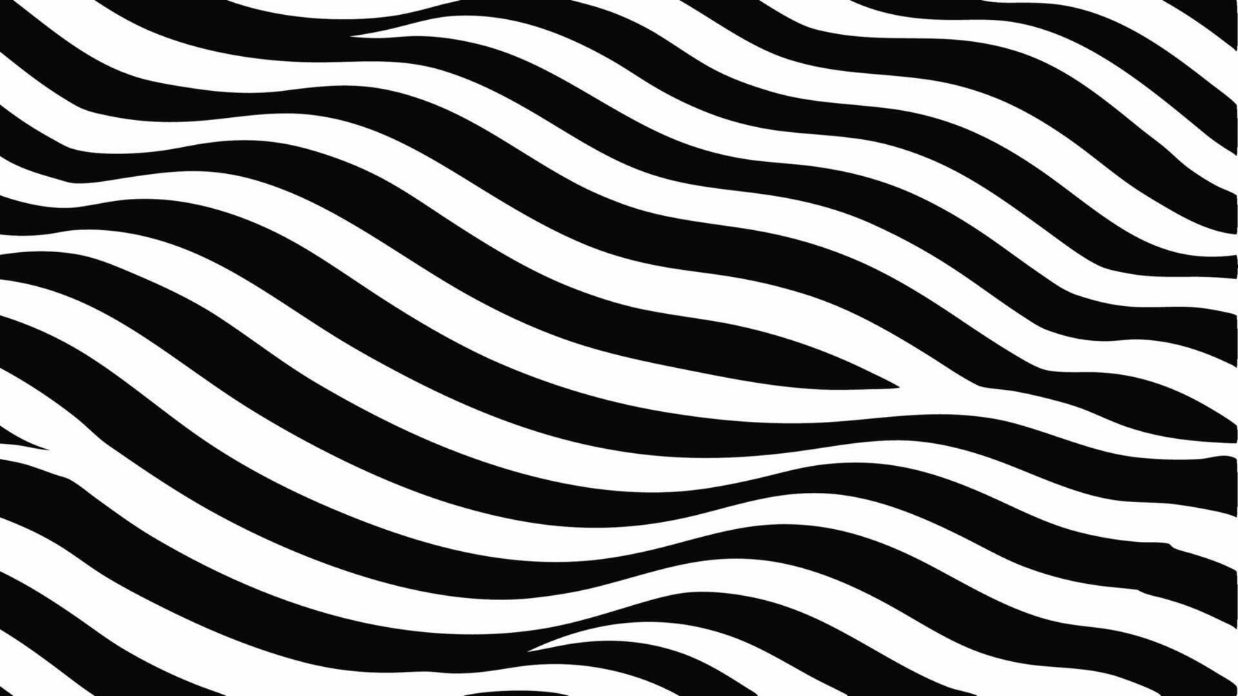 Seamless Black and White Pattern with Elegant Wavy vector
