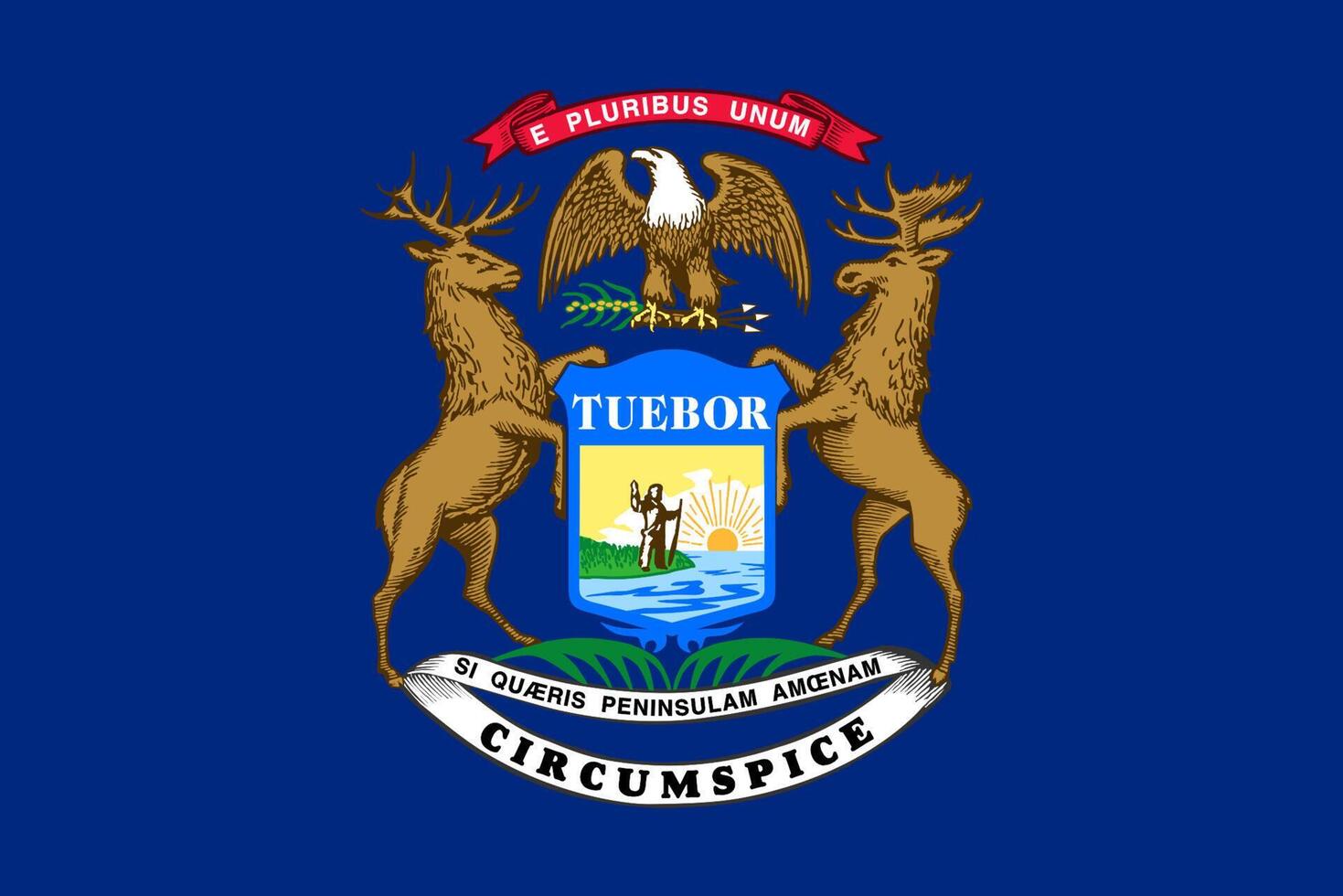 Flag of Michigan vector