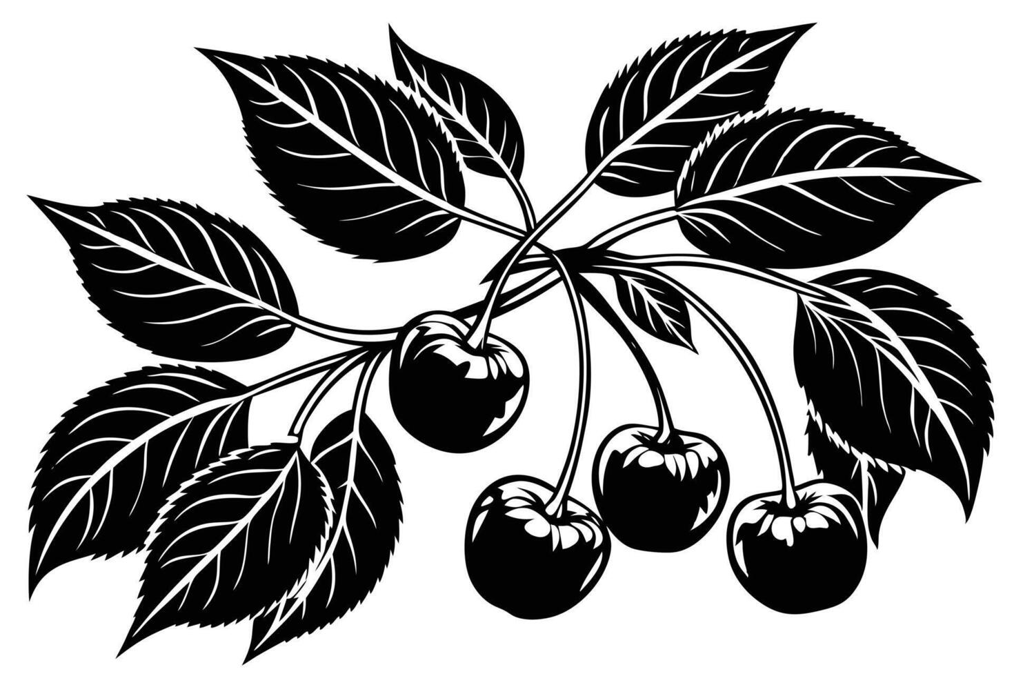 Elegant Black and White Illustration of Cherries and Leaves vector