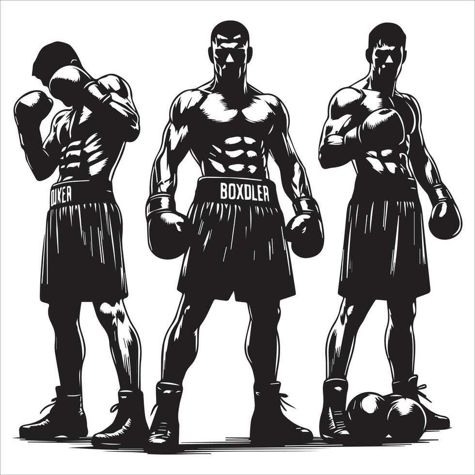 Three silhouettes of boxers in different poses vector