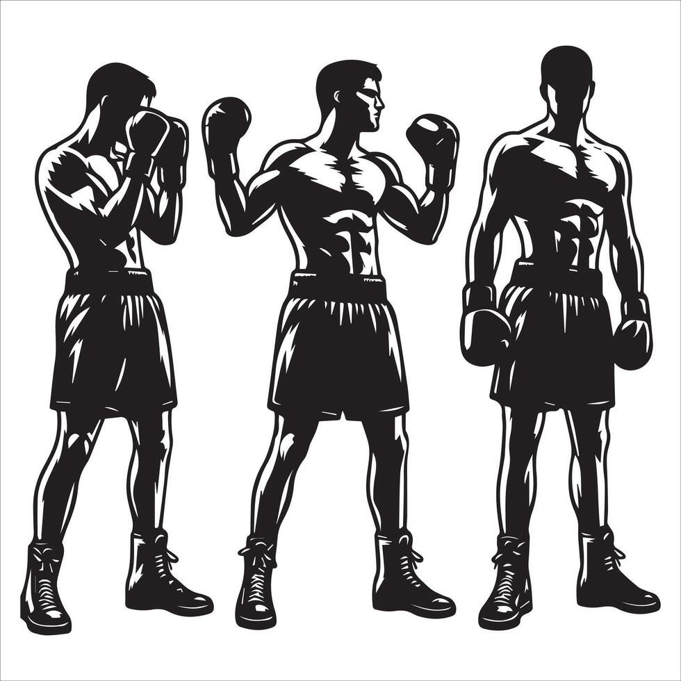 Silhouettes of a boxer in different poses vector